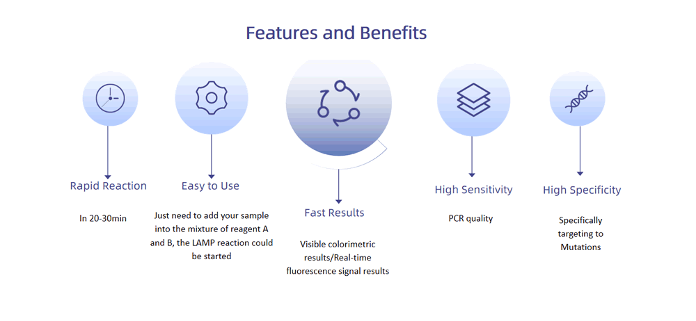 LAMP Detection Kits – Medical Detection Kits(圖3)