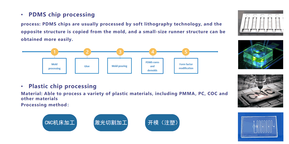 Microfluidic Chip Design and Processing(圖2)