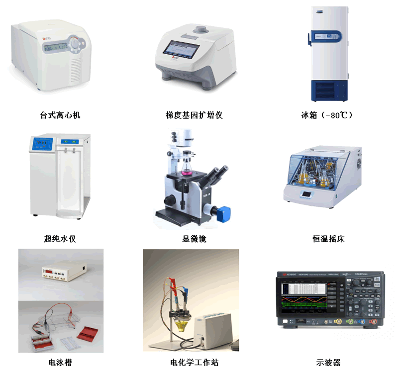 Research Area(圖1)